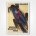 Brno Grosser Masaryk Preis poster - 1935 Czech Grand Prix - William Gotschke