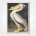 American White Pelican poster - John J Audubon Birds of America Plate 311