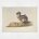 Dodo art print - Roelandt Savery 1626 Hugh Edwin Strickland 1848
