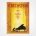 C Bechstein Piano Advertisement 1920 - Vintage Music Poster - Bruno Bielefeld