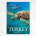 Dalyan travel poster - vintage Turkey poster - Turtles in Turkey