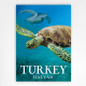 Dalyan travel poster - vintage Turkey poster - Turtles in Turkey