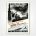 Grosser Preis von Pau 1939 poster - Mercedes Benz victory poster - Walter Gotschke