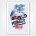 1950 Monaco Grand Prix poster - B Minne