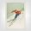 Russian Downhill Skiing poste
