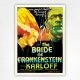 The Bride of Frankenstein poster - Boris Karloff film poster - 1935