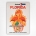 Amtrak Florida poster - US railway poster - David Klein - c1965