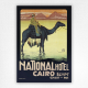 National Hotel poster - Cairo Egypt travel poster - Mario Borgoni - 1905