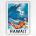 Hawaii surfing poster - vintage Hawaii poster - Chas Allen - c1950