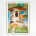 Holland van Velson poster - Holland travel poster - Cornelis van Velsen - c1950