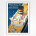 Nieuw Amsterdam poster Holland-America Line poster - Dirkcen - 1954