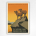 The National Parks Preserve Wildlife poster -WPA poster - J Hirt - 1939