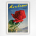 Montreux Travel Poster - Red Rose wall art - Walter Herdeg - 1942