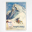 Jungfrau-Bahn poster