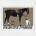 Universitats-Tattersall poster - Horse and Fox Terrier - Ludwig Hohlwein - 1912
