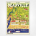 Etat Deauville poster - Aerial Deauville Map - French Railway Poster - Roger de Valério 1922